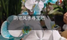 阴宅风水寻宝地