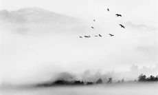 初三迎喜神什么时间 上午五点到七点迎接喜乐之神