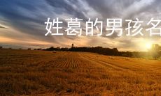 姓葛的男孩名字大全 大方顺耳的名字