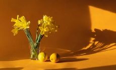 店面在风水上有哪些需要注意的