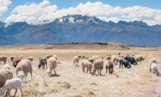 方姓宝宝起名 方姓最好的名字顺口女孩