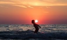 86年虎哪年才开始发财 享福转运的年份