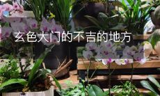 玄色大门的不吉的地方