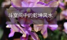 斗室间中的乾坤风水