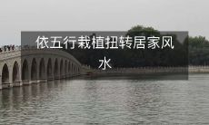 依五行栽植扭转居家风水