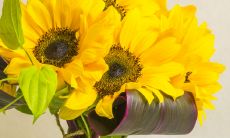 姓马的宝宝取什么名字好 好名字吉祥如意