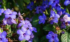 佩戴什么会让属马人幸运值飙升