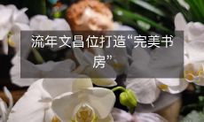 流年文昌位打造“完美书房”