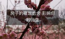 房子的宿世也会 影响你的此生