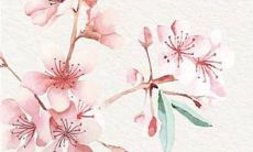 生辰八字解析:2023年1月13日出生的宝宝是什么命,五行缺什么