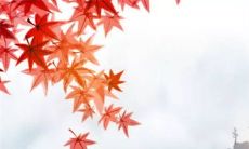 生辰八字解析:2023年1月19日出生的宝宝是什么命,五行缺什么