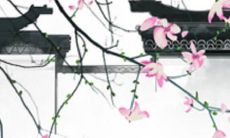 八字解析:2023年1月12日出生的宝宝是什么命,五行缺什么