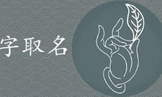 芷字女孩取名含义是什么 搭配什么字最有气质