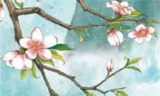 八字解析:2023年1月26日出生的宝宝是什么命,五行缺什么