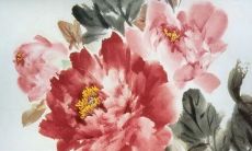 属兔正月出生是什么命 兔正月出生的犯月吗