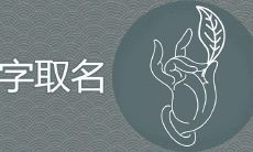 佳怡名字的寓意好不好 佳字最洋气的取名