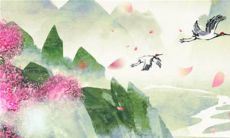 生辰八字解析:2023年1月25日出生的宝宝是什么命,五行缺什么