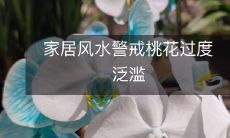 家居风水警戒桃花过度泛滥