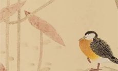 2023年农历正月的兔子好吗 随和大方善于交际