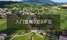 入门宜有3见3不见