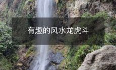 有趣的风水龙虎斗