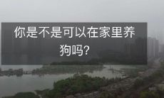 你是不是可以在家里养狗吗?