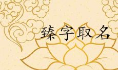 臻在人名中的寓意好不好 最佳的搭配组名有哪些