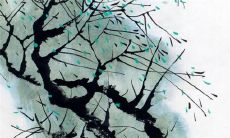 2023年2月几号适合理发 今年2月宜剪头发吗