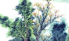 2023年正月二十七适合开业吗 2023年正月二十七日子怎么样