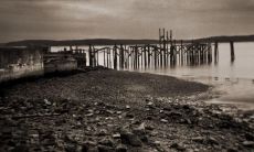 生肖羊2022年适合的衣服颜色 绿色是幸运色