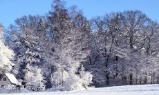 2022年生肖属虎的缘分 很容易出现感情危机