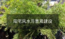 阳宅风水与景观建设