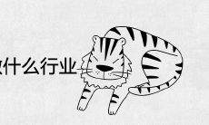 86年女虎火命适合做什么行业