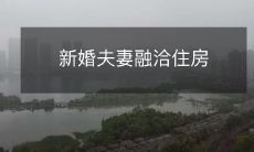 新婚夫妻融洽住房