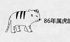 86年属虎的最佳贵人