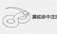 属蛇命中注定几个孩子