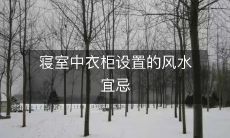 寝室中衣柜设置的风水宜忌