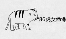 86虎女命命中有几个儿子