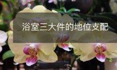 浴室三大件的地位支配