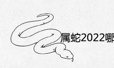 属蛇2022年哪月可以遇到贵人