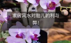 家居风水对胎儿的利与弊!