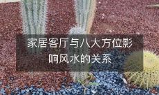 家居客厅与八大方位影响风水的关系
