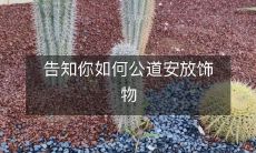 告知你如何公道安放饰物