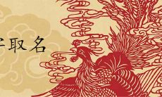 取名带懿字的含义是什么 高分女孩名字精选