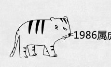1986年属虎最旺财4个数字