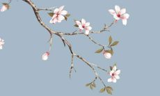 2022年11月24日适合入宅吗 入新宅吉利吗