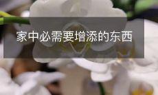 家中必需要增添的东西