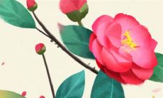 男方彩礼是给女的还是女方家里 父母对子女的助力