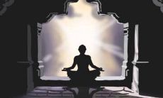 9月27日花语:紫苑花,生日花语贵族情趣