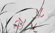 双方父母见面吃饭怎么坐 学会尊重理解长辈